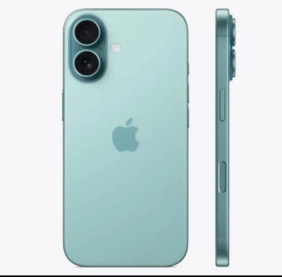 اپل iPhone 16 با حافظهٔ ۱۲۸ گیگابایت|موبایل|بجنورد, |دیوار