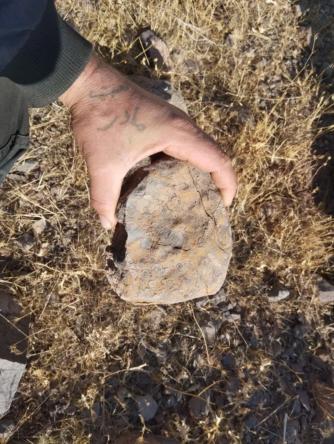 سنگ عتیقه|کلکسیون اشیاء عتیقه|ابهر, |دیوار