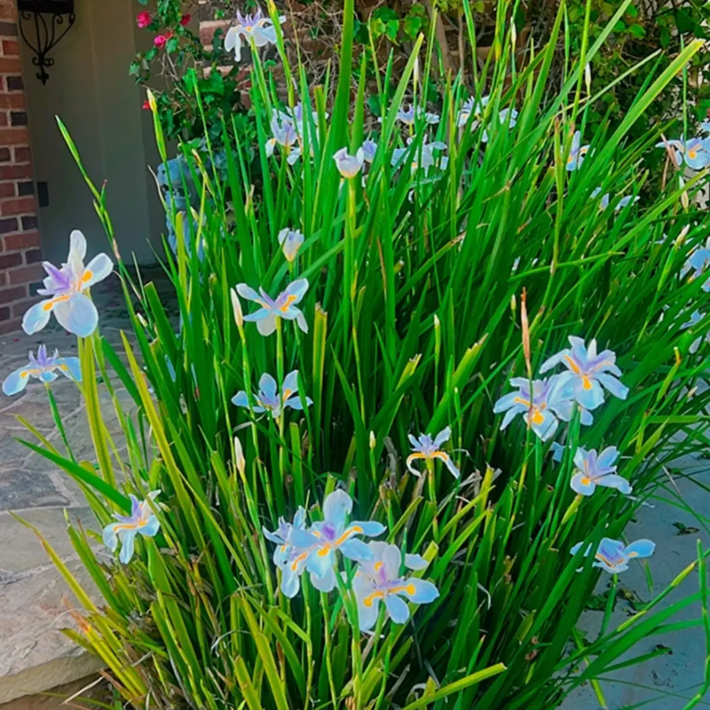 پذیرایی مراسم و همراه بیمار|خدمات پذیرایی، مراسم|یزد, |دیوار