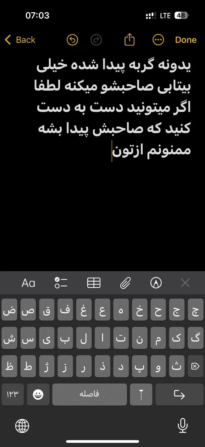 گربه پبدا شده|گربه|کاشان, کوچه باسکول|دیوار