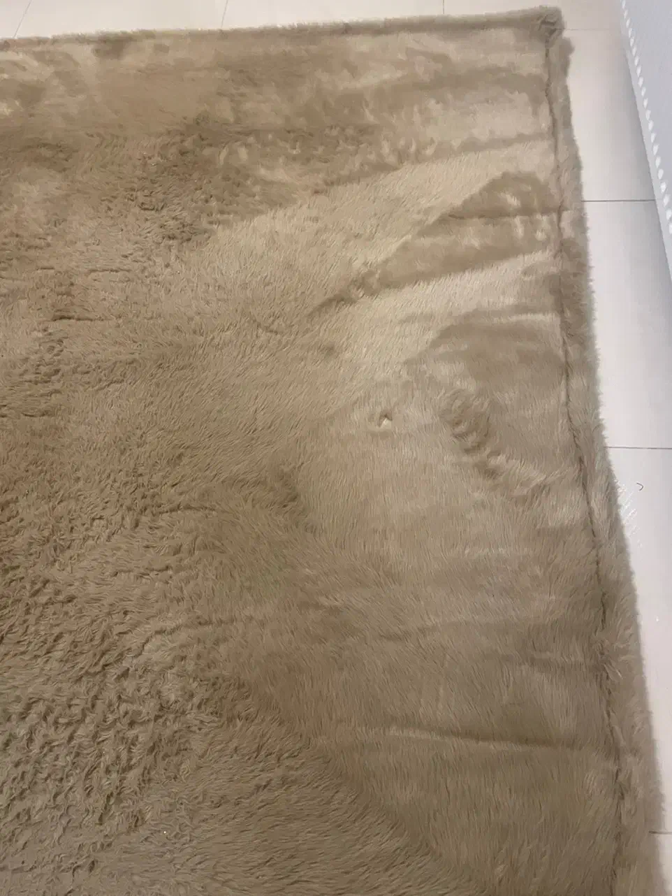 فرش خز|فرش|فولادشهر, B2|دیوار