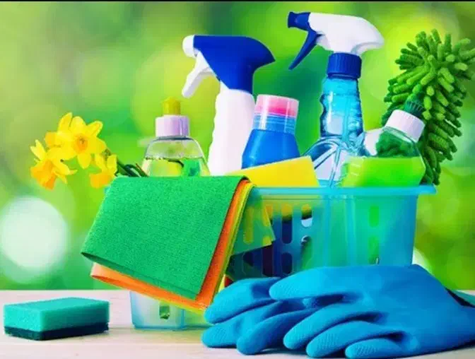 نظافت در منزل|خدمات نظافت|رشت, کاکتوس|دیوار