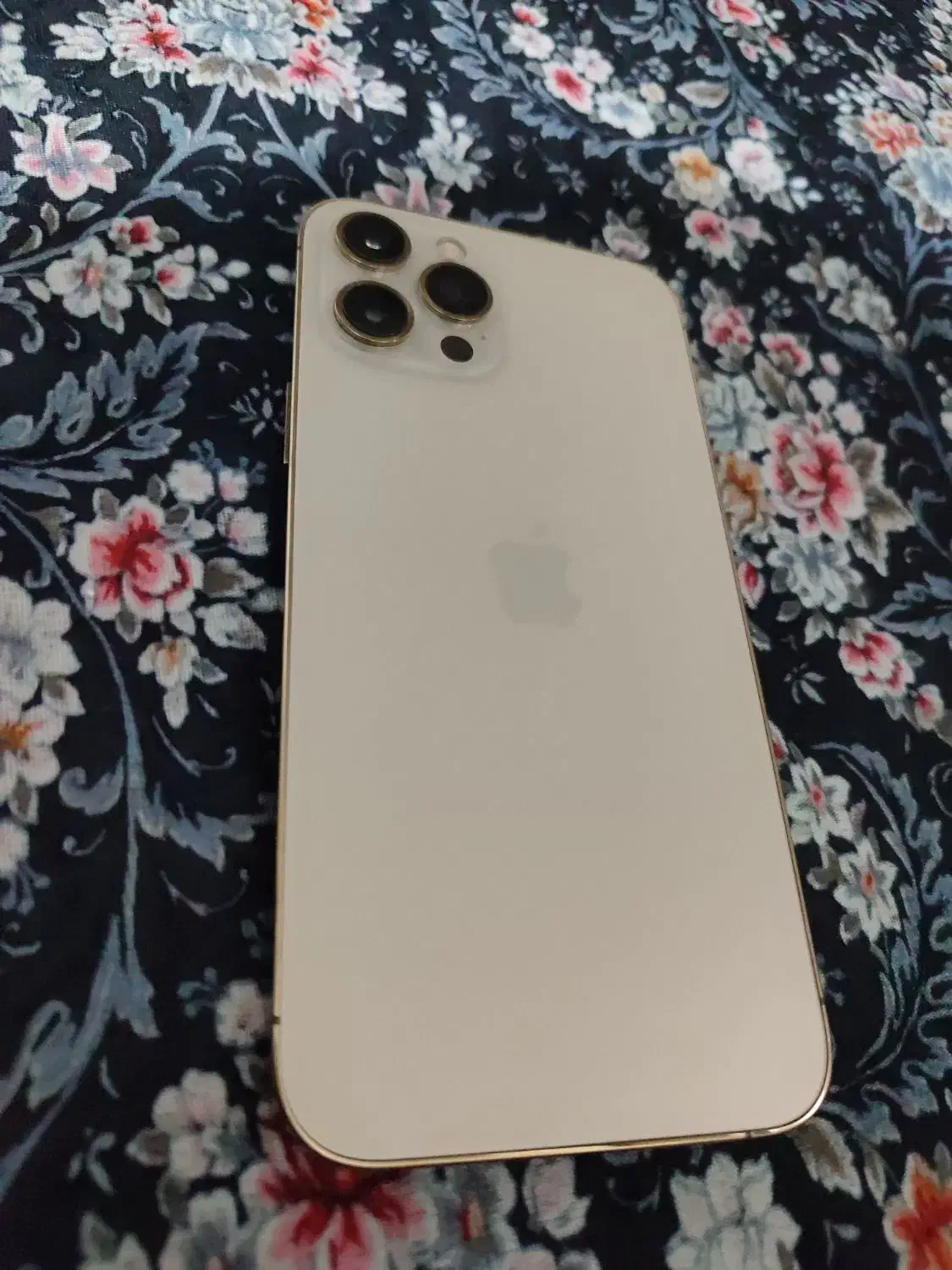 iPhone 12 promax|موبایل|اشنویه, |دیوار