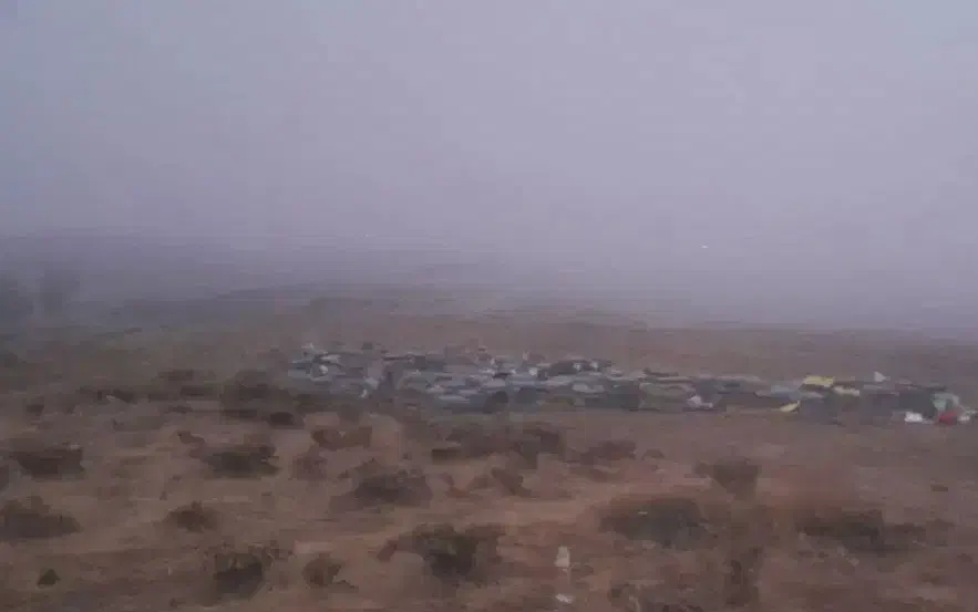 عسل ییلاقی سبلان|خوردنی و آشامیدنی|مشگین شهر, |دیوار