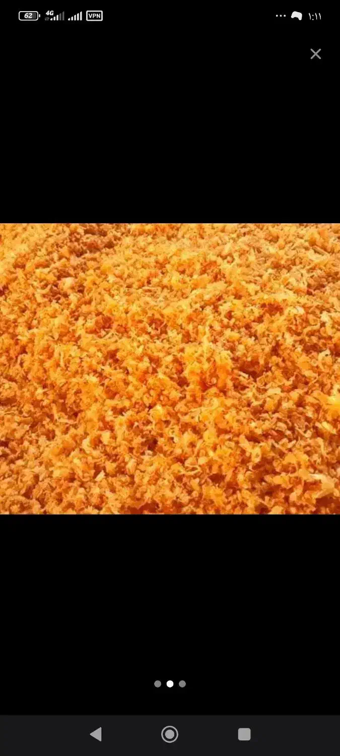 پیاز|خوردنی و آشامیدنی|رشت, آزادگان|دیوار