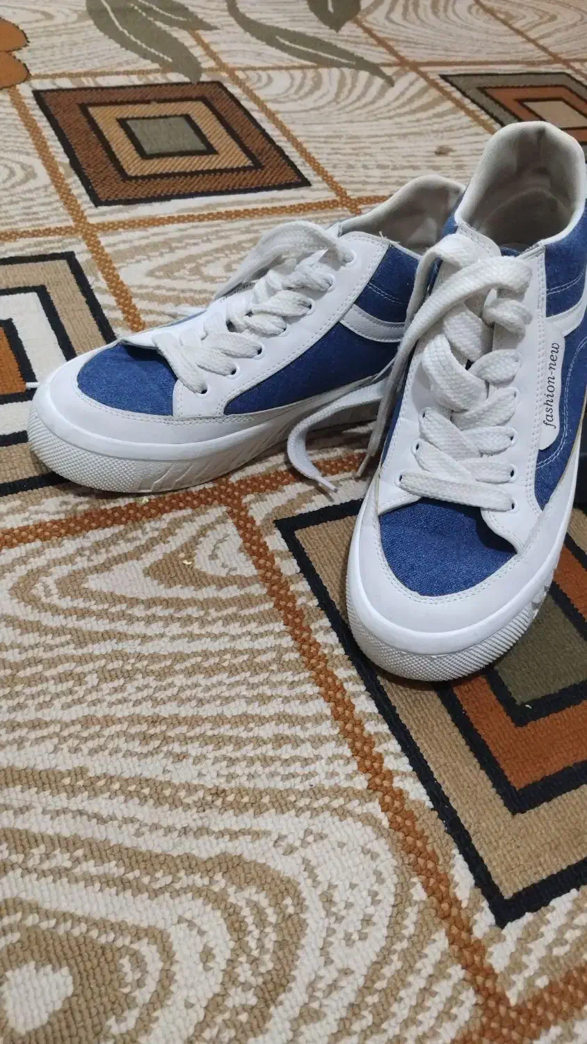 کفش نو|کیف، کفش، کمربند|بروجرد, |دیوار