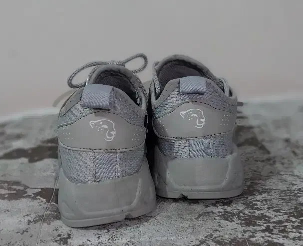 کفش|کیف، کفش، کمربند|دوگنبدان, |دیوار