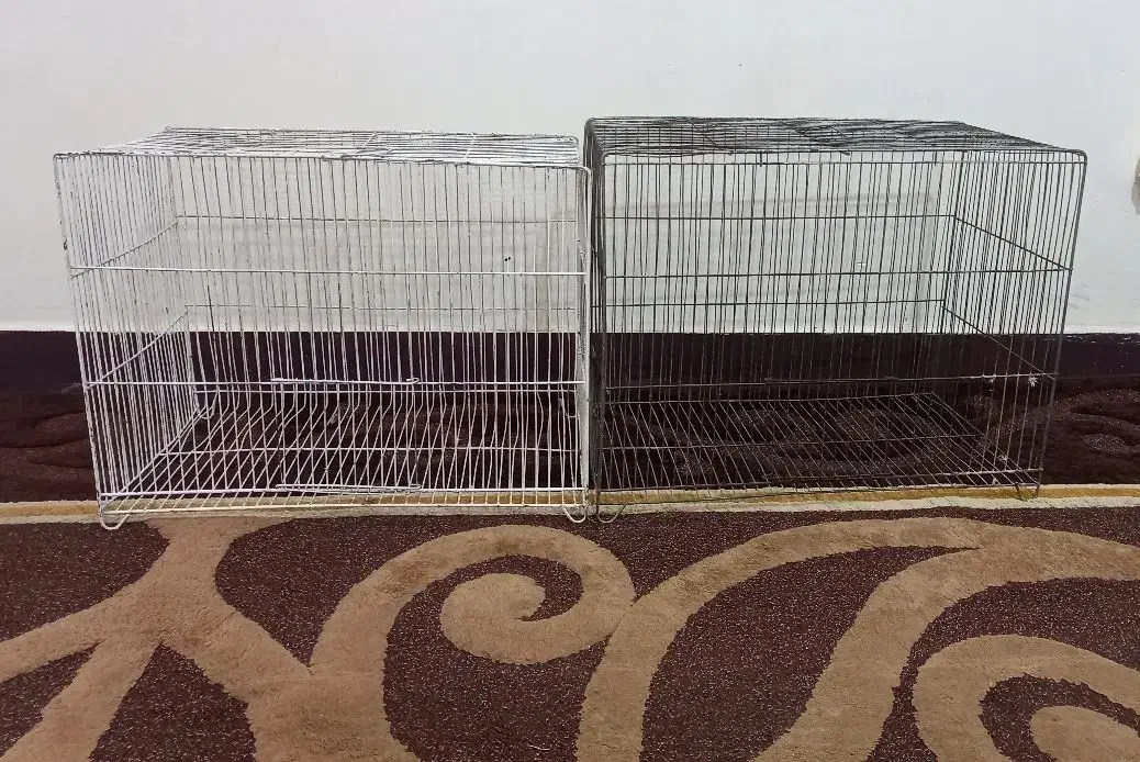 دوتا قفس بزرگ|لوازم جانبی حیوانات|اهواز, بهارستان|دیوار