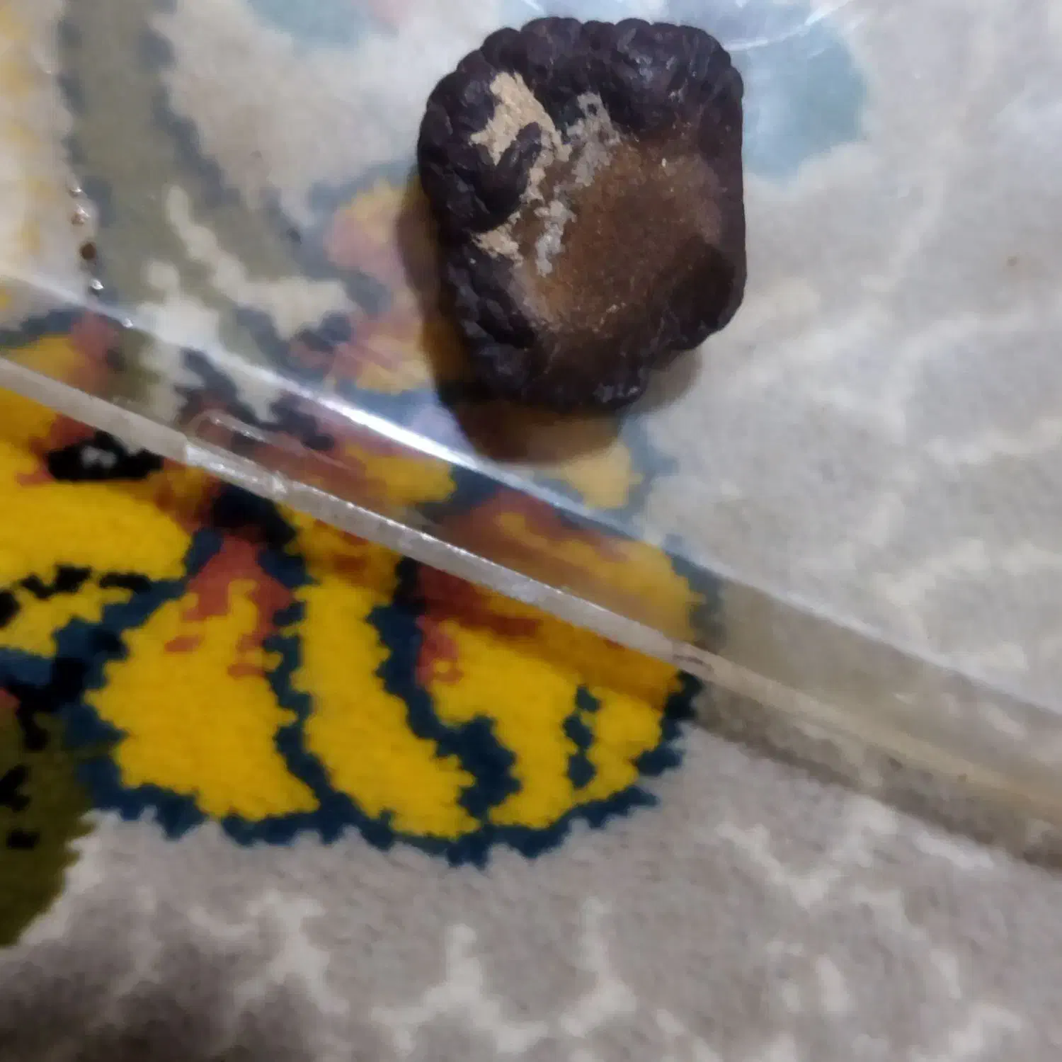 شهاب سنگ|کلکسیون و سرگرمی|اسفراین, |دیوار