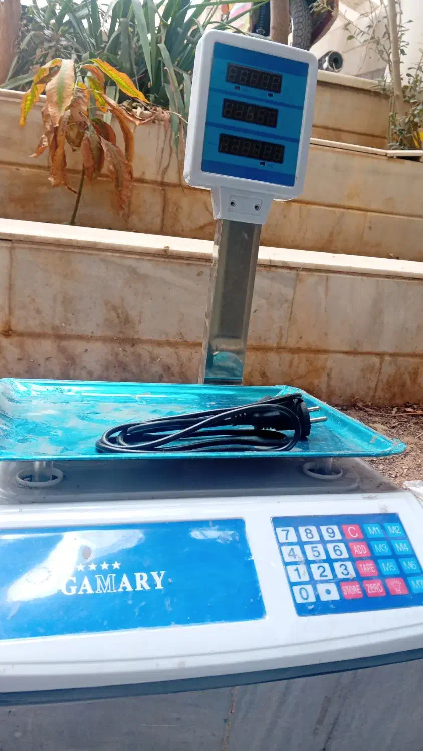 کاکتوس|اسباب‌‌بازی|قم, شهرک سازمان آب|دیوار