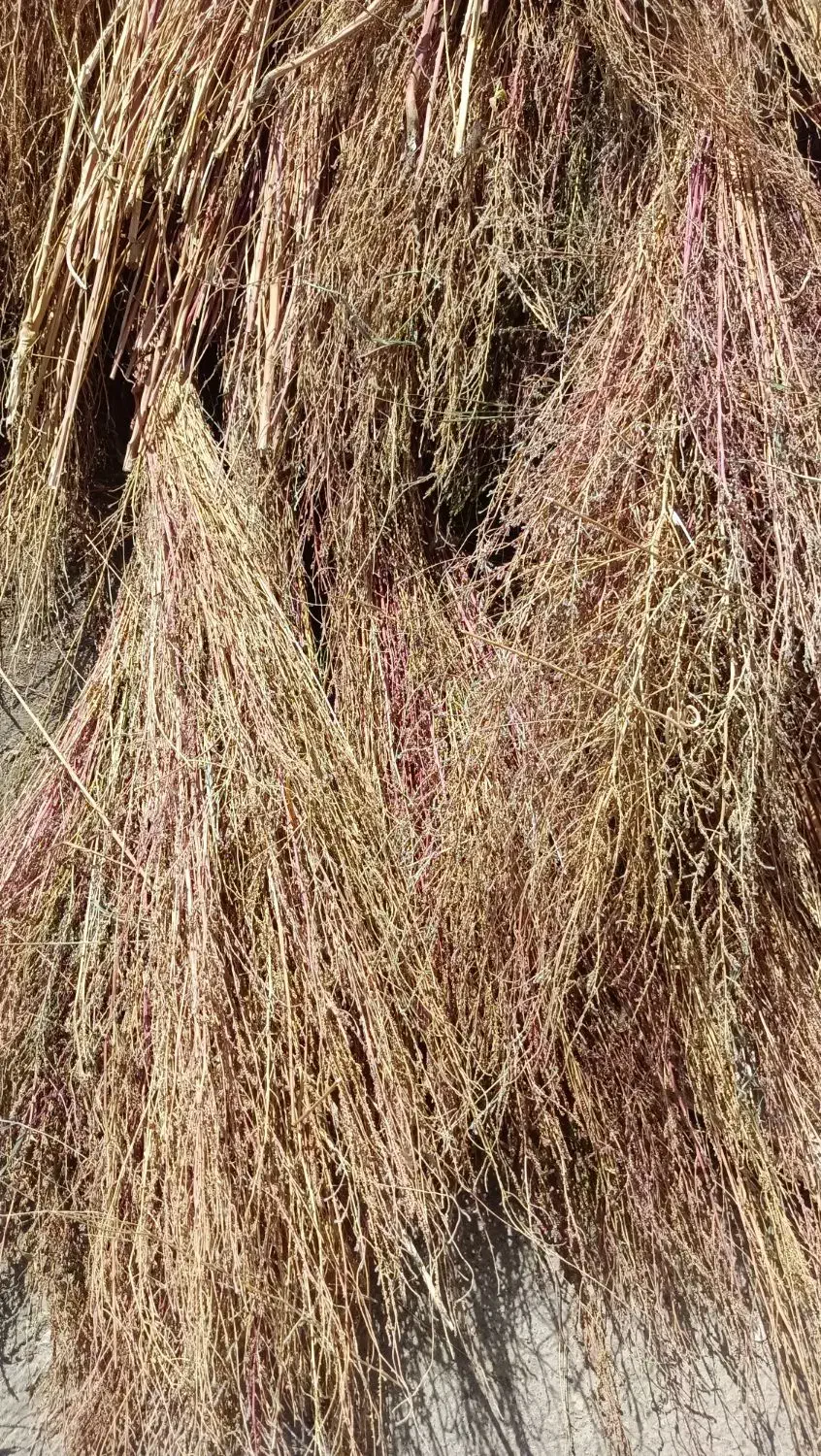 جارو محلی|لوازم نظافت|نورآباد, |دیوار