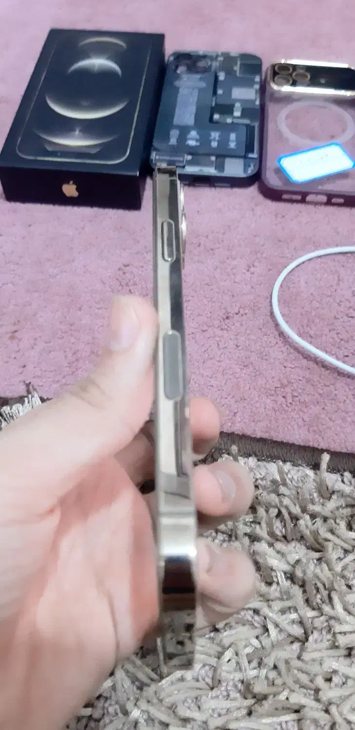 اپل iPhone 12 Pro با حافظهٔ ۲۵۶ گیگابایت|موبایل|بندر گناوه, |دیوار