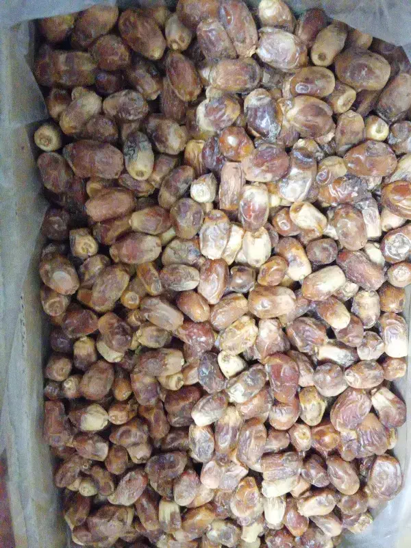 خرما زاهدی|خوردنی و آشامیدنی|رباطکریم, الارد|دیوار