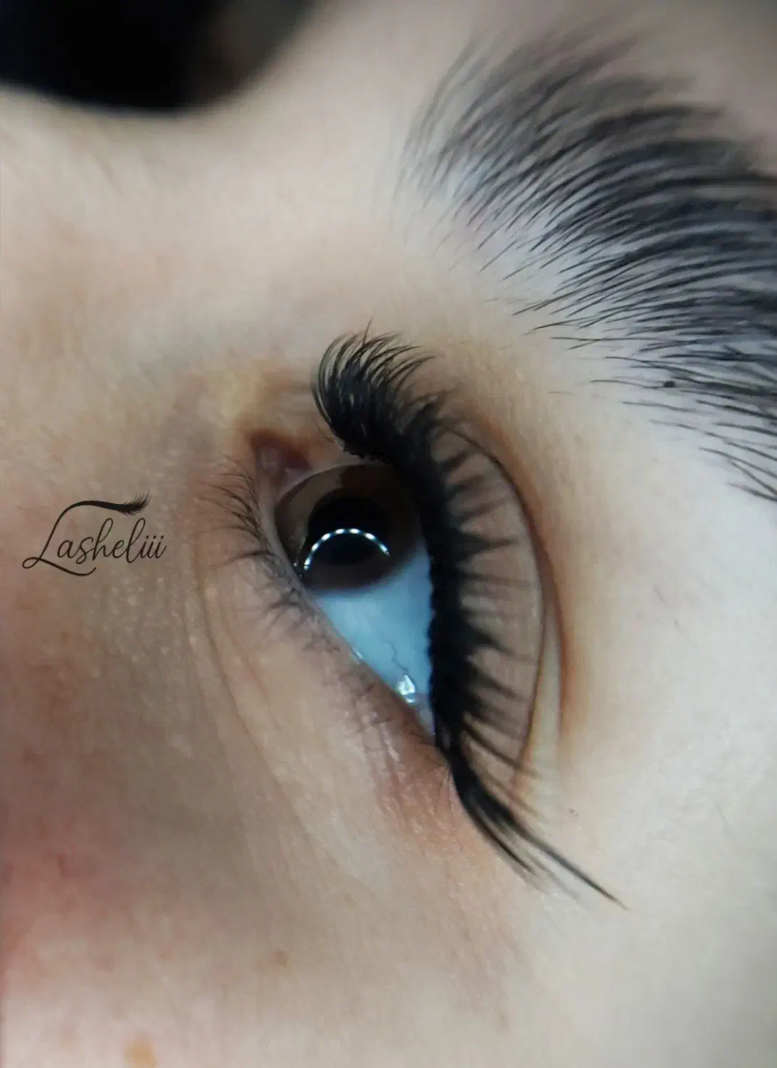 کاشت مژه هیدن تخفیف ویژه|خدمات آرایشگری و زیبایی|رشت, منظریه|دیوار