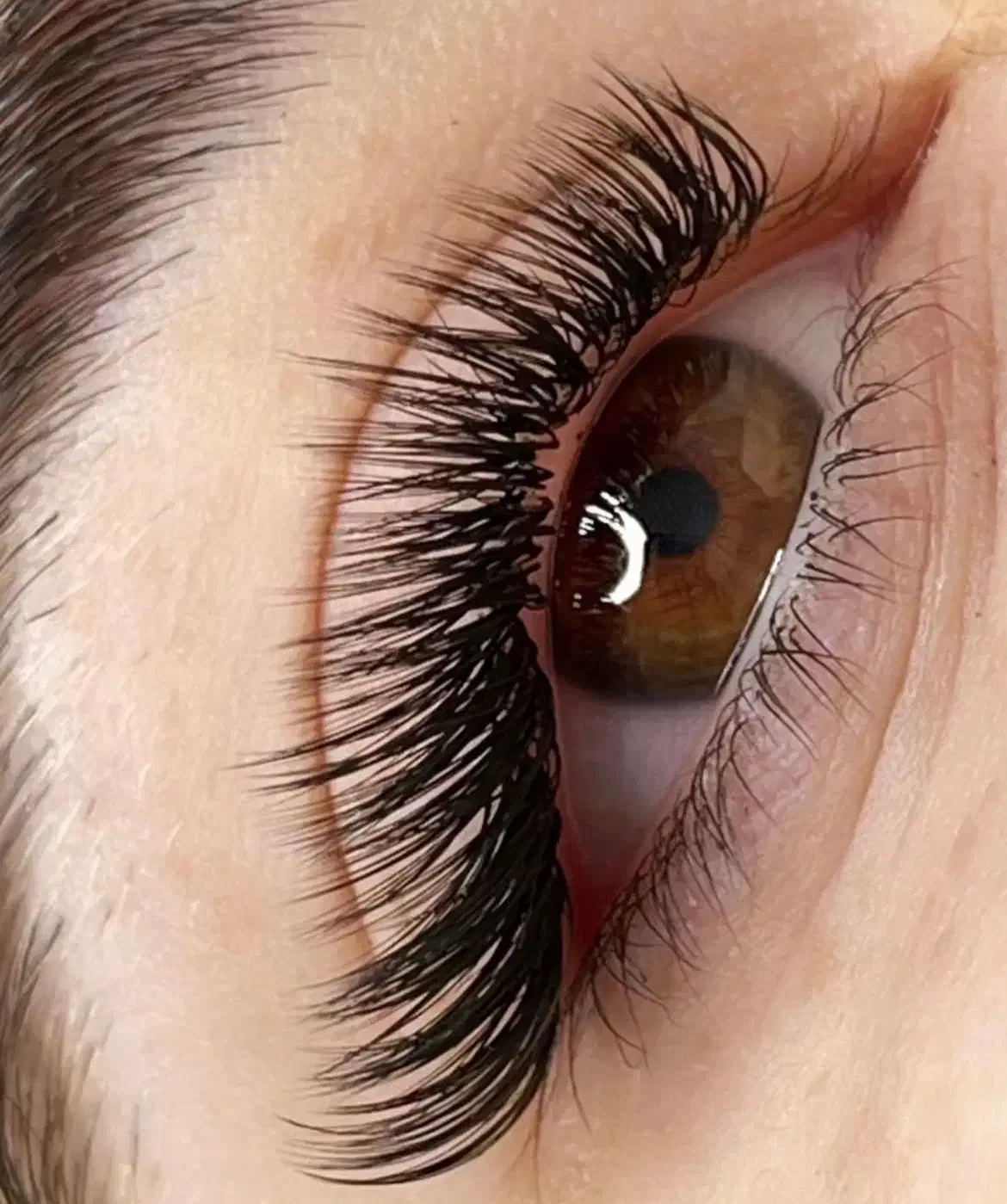 ۳ نفر مدل اکستنشن مژه کاملا رایگان|خدمات آرایشگری و زیبایی|تهران, شهرک آزمایش|دیوار