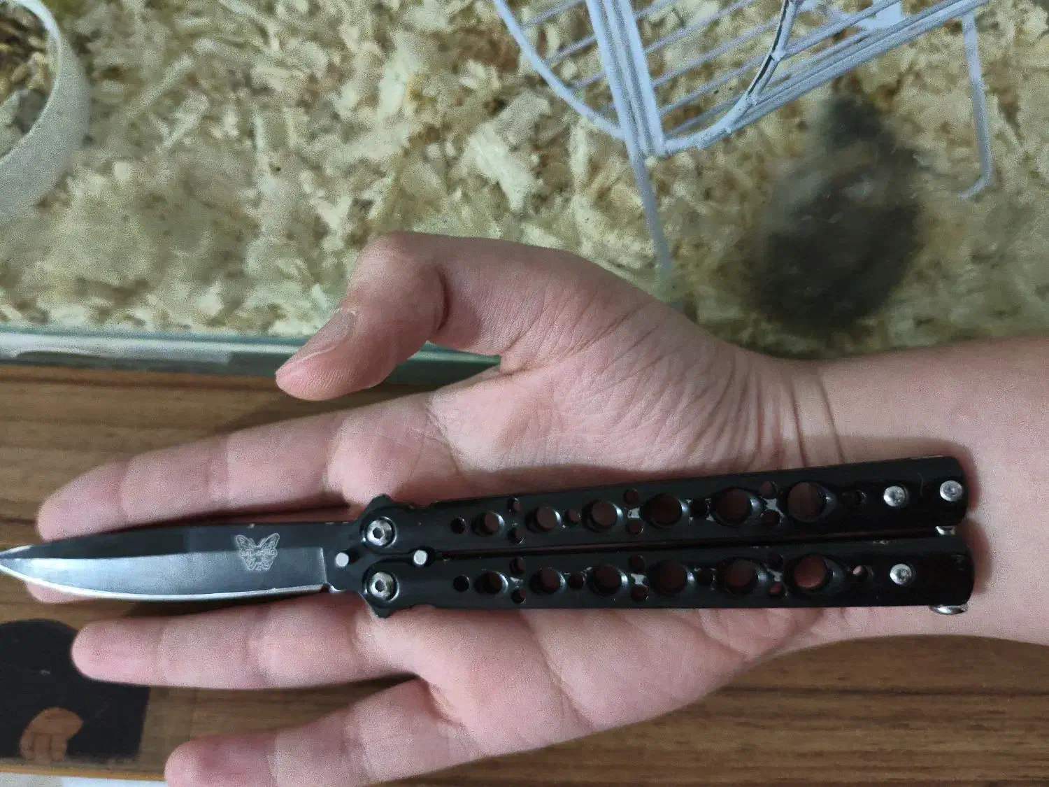 چاقو پروانه بزرگ|کوهنوردی و کمپینگ|ارومیه, |دیوار