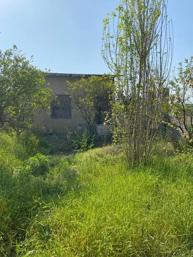 ۲۲۰ متر خونه باغ بین بابل امل احمد چاله پی|فروش زمین و ملک کلنگی|زرگرشهر, |دیوار