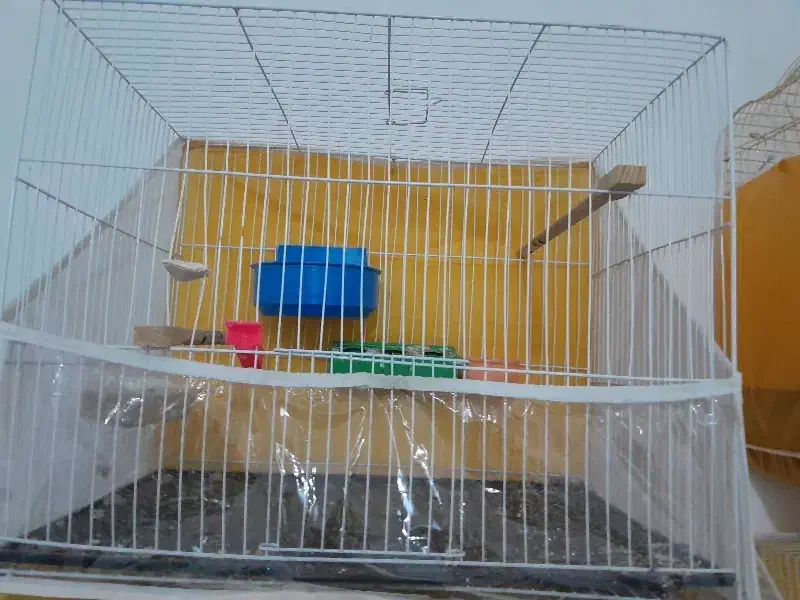 قفس عروس وقناری|لوازم جانبی حیوانات|مشهد, حضرت حجت|دیوار