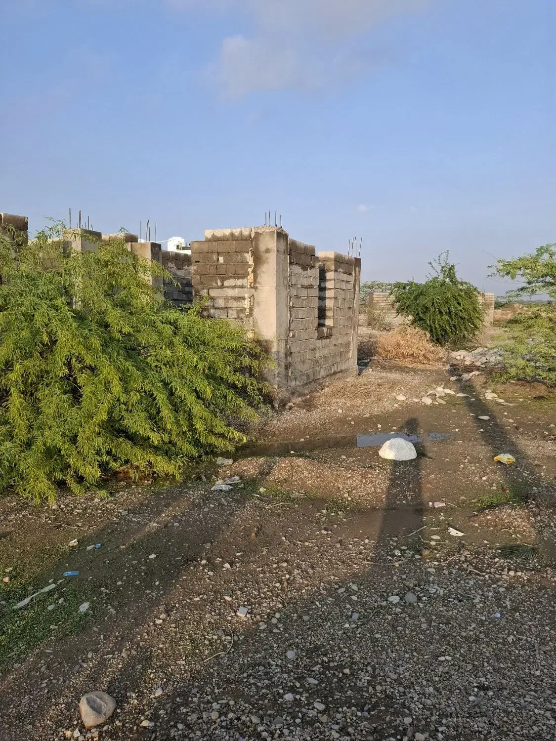 زمین|فروش زمین و ملک کلنگی|قلعه قاضی, |دیوار