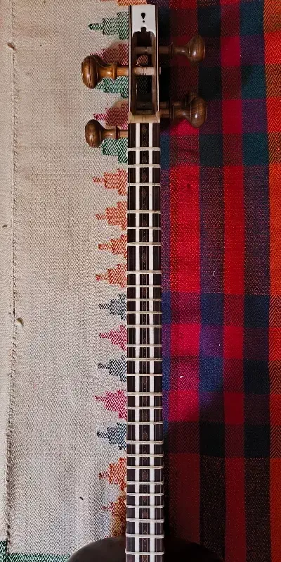 تار حرفه ای خوش صدا ساخت استاد ارام|سازهای سنتی|شیراز, دکتر حسابی|دیوار