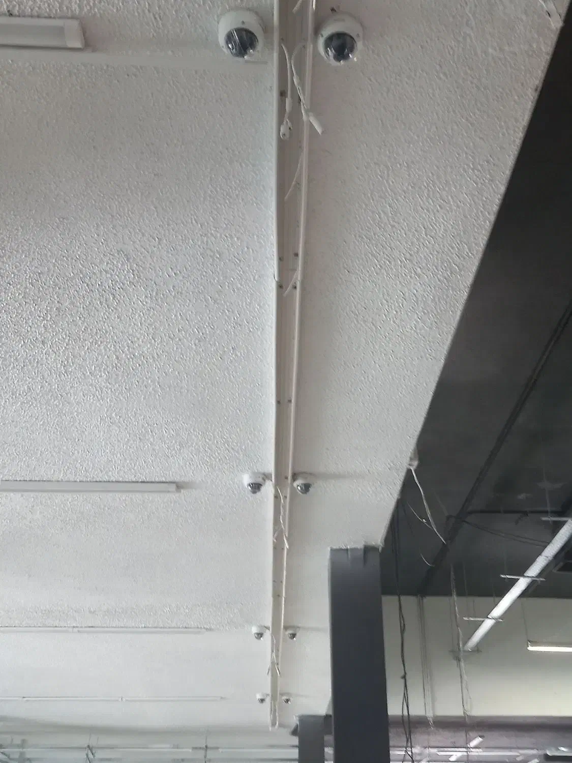 برقکار برق کشی دوربین آیفون لوستر سیم|خدمات پیشه و مهارت|نیشابور, شهید جعفری|دیوار