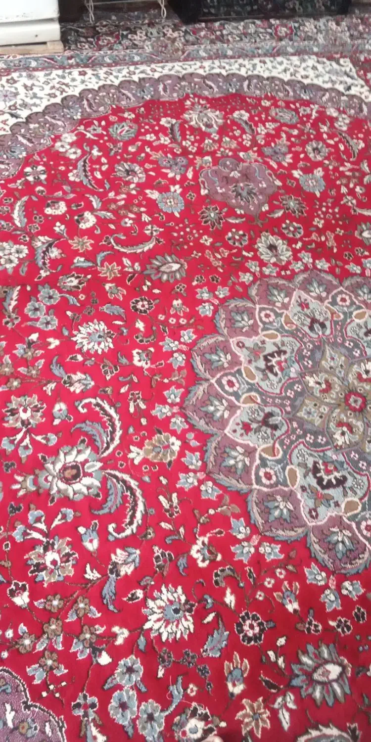 به فرشام نمیخوره|فرش|تربتحیدریه, فتح المبین|دیوار