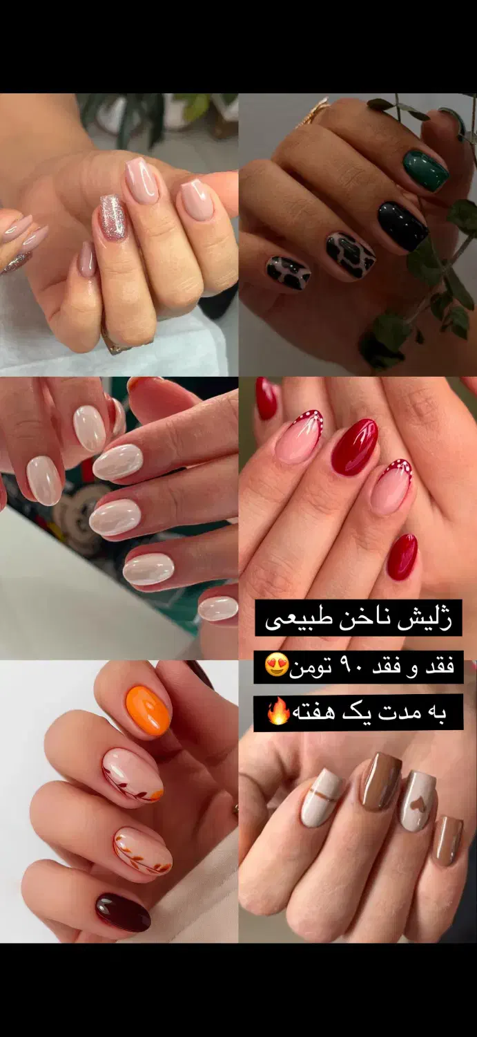 فرصت خوب|آرایشی، بهداشتی، درمانی|مراغه, |دیوار