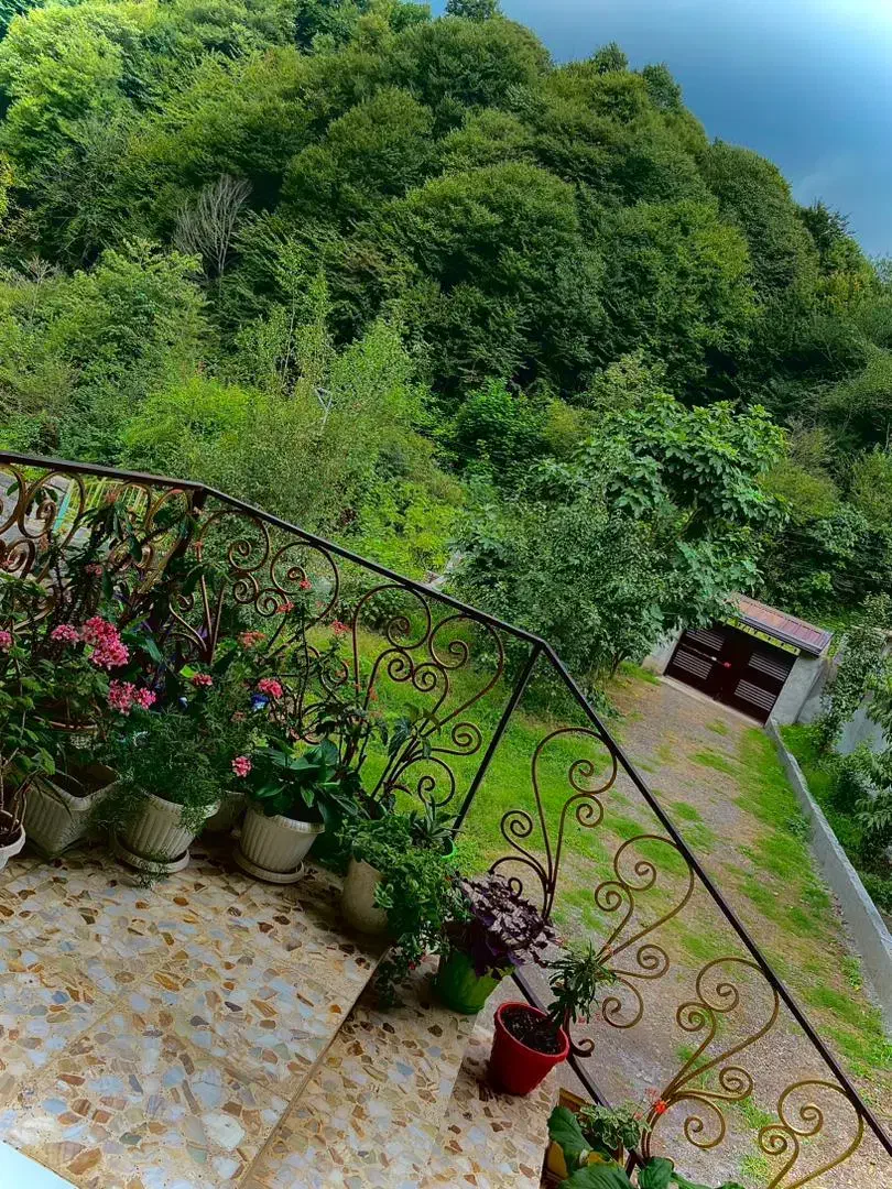 اجاره روزانه خانه دربست امشب تا چهارشنبه خالیه|اجارهٔ کوتاهمدت ویلا و باغ|زیرآب, |دیوار