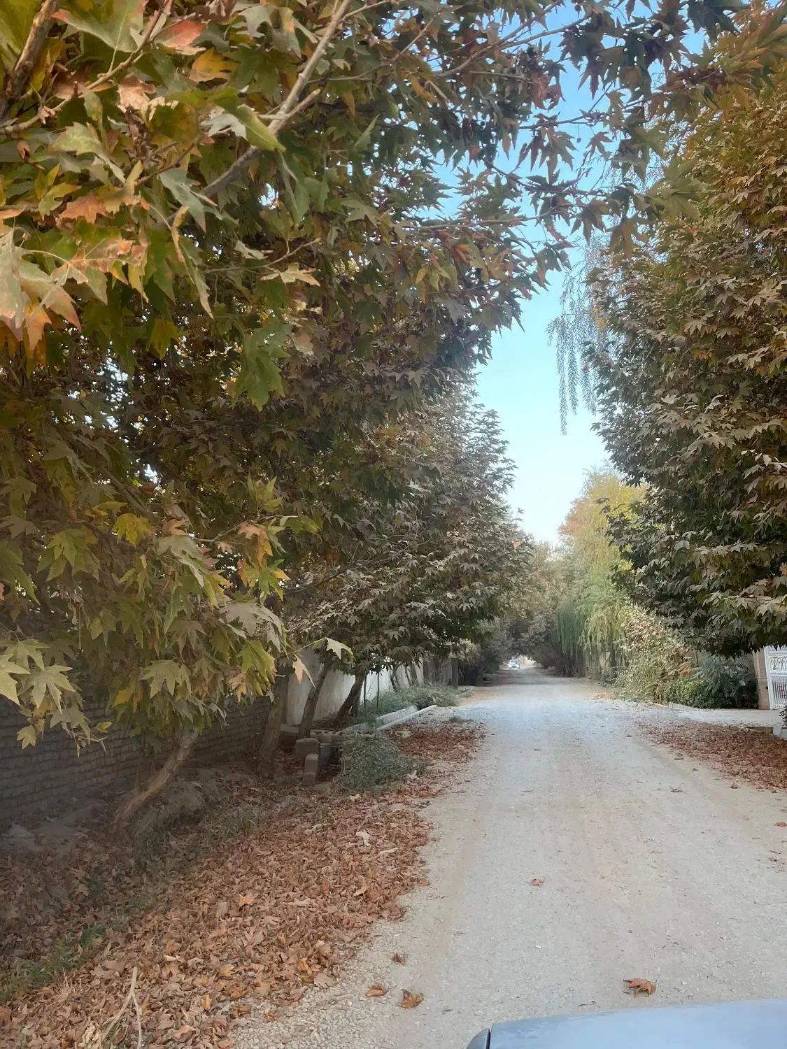 زمین سنددار.تهراندشت.کردان.سعیداباد|فروش زمین و ملک کلنگی|کرج, فاز ۱ مهرشهر|دیوار