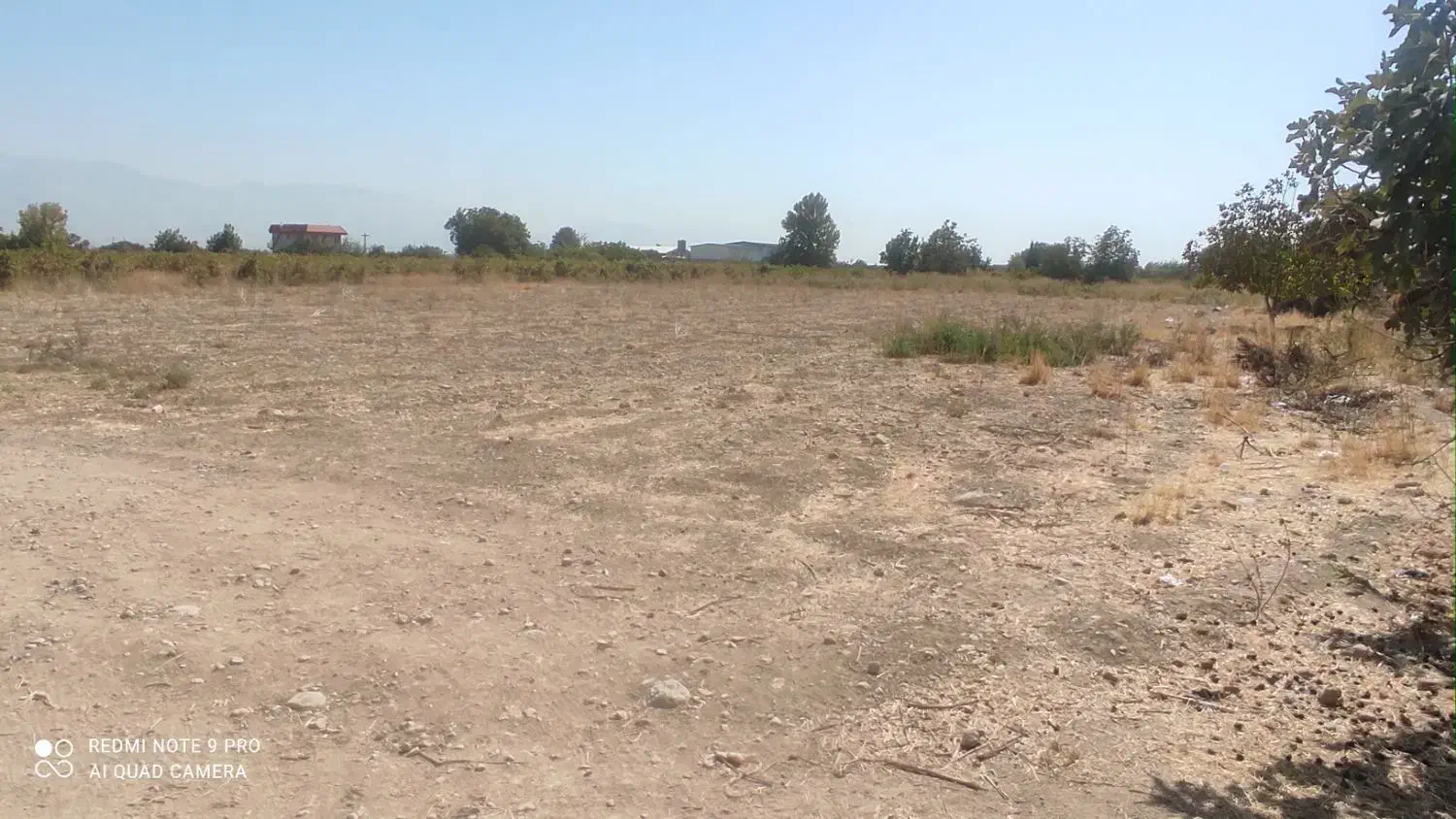 سلام زمین درشهرستان کوار جاده محموداباد|فروش زمین و ملک کلنگی|طسوج, |دیوار