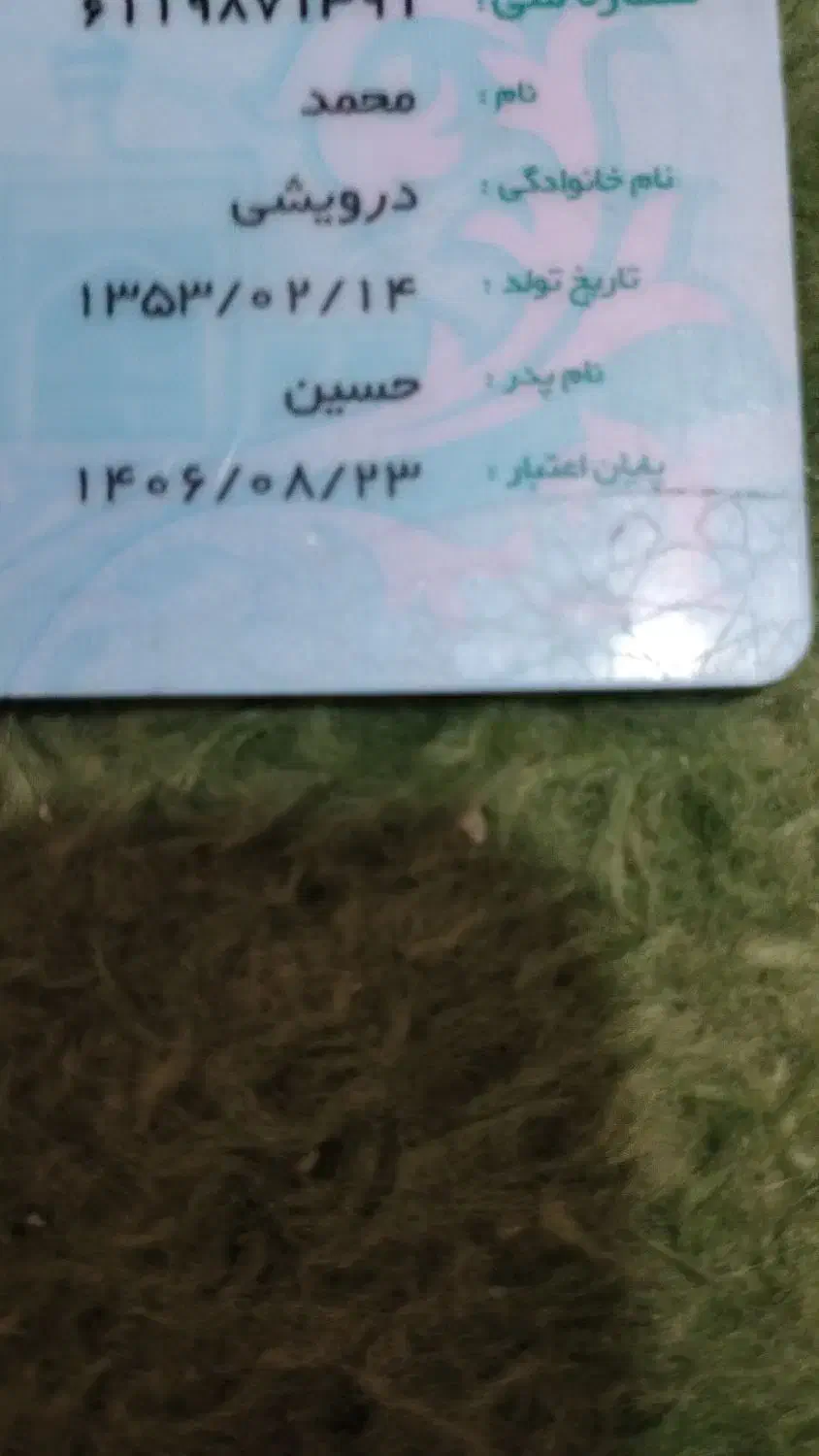 مدارک گمشده مژدگانی|اشیا|زابل, |دیوار