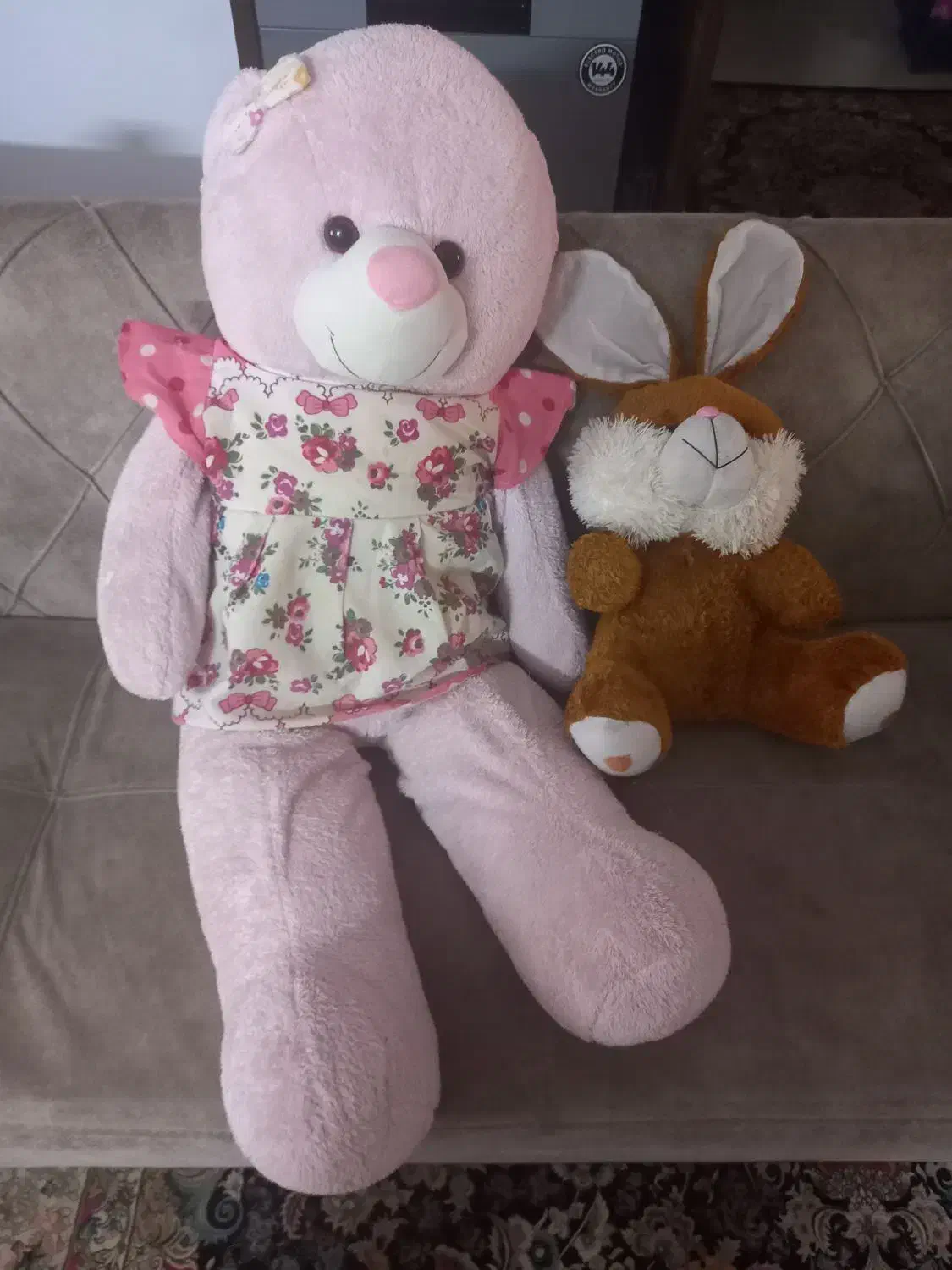 عروسک|اسباب‌بازی بچه|بجنورد, |دیوار