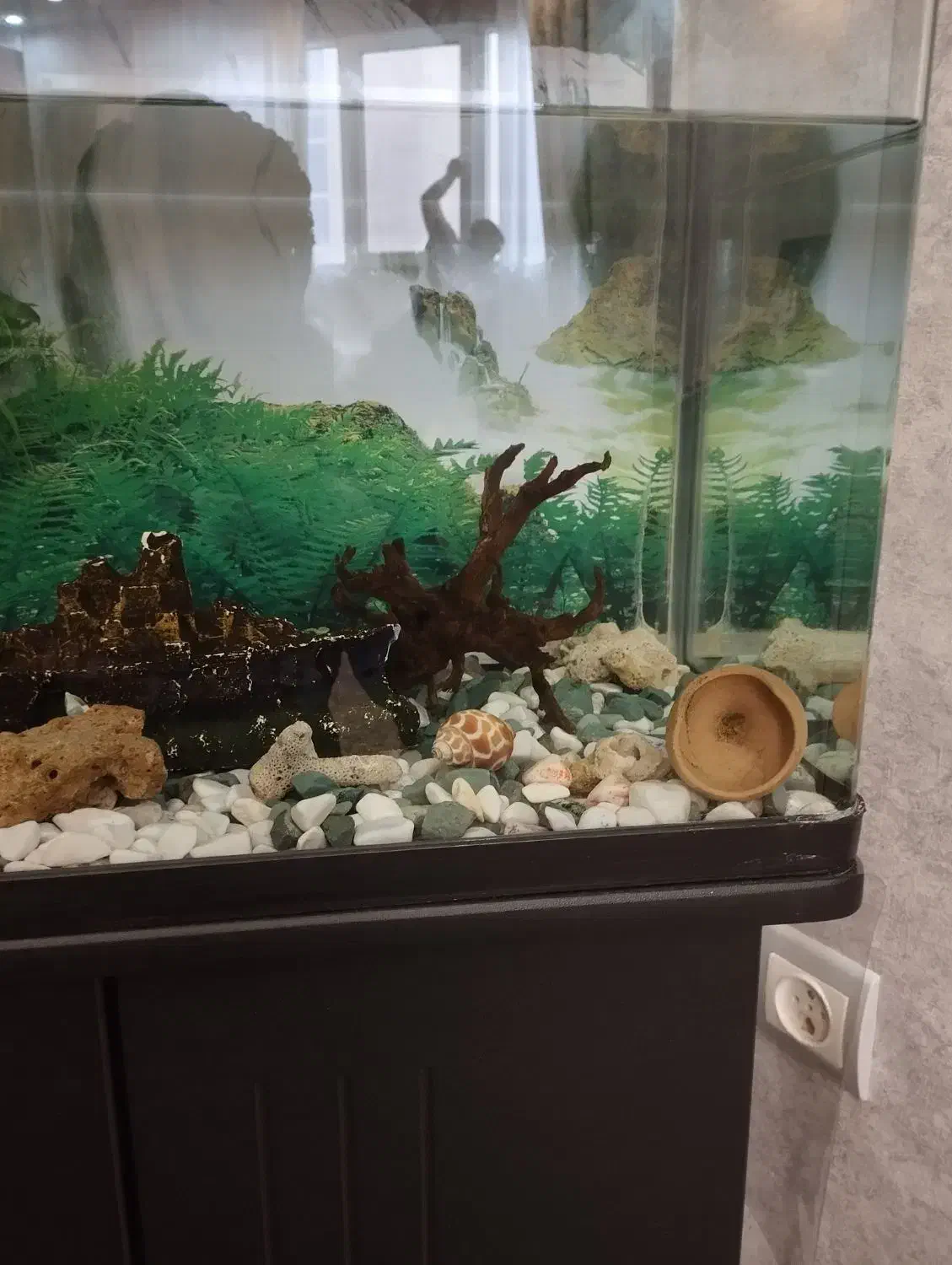 آکواریوم با میز|ماهی|فولادشهر, مسکن مهر فولادشهر|دیوار