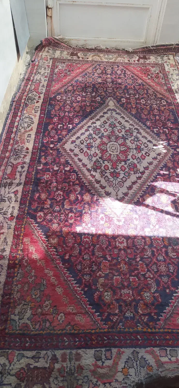 قالی دست بافت|فرش|قم, علی آباد سعدگان|دیوار