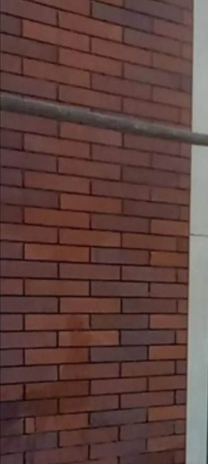 نماکار ساختمان|خدمات پیشه و مهارت|تبریز, |دیوار