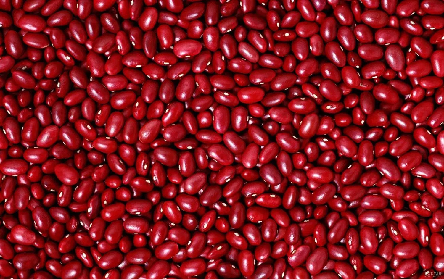 لوبیا قرمز|خوردنی و آشامیدنی|قیدار, |دیوار
