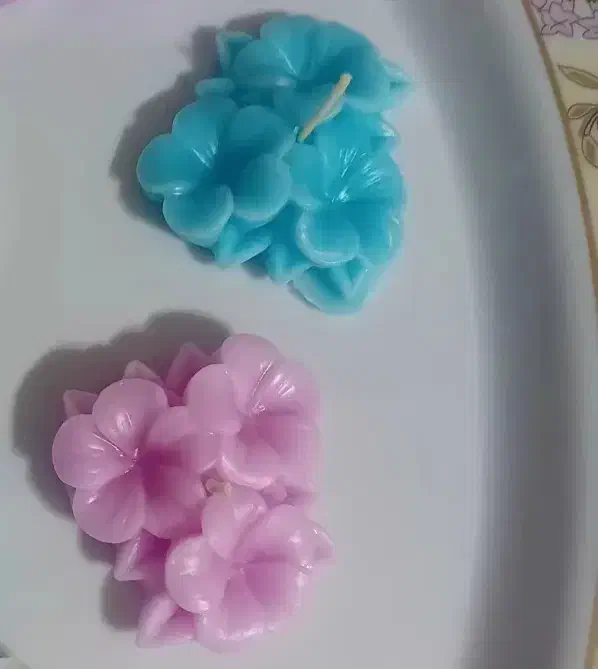 فروش گیفت شمع باگل لاله، بابونه،ارکیده،یخ وماشین|عمده‌فروشی|شیراز, میانرود|دیوار