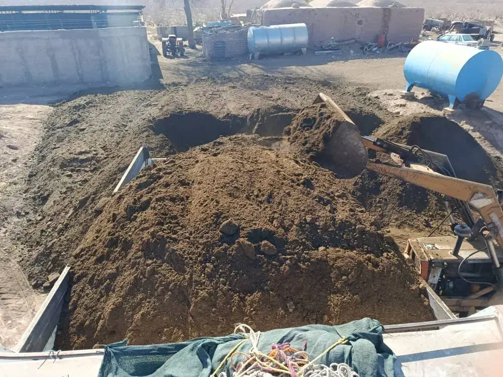 کودگوسفند|خدمات باغبانی و درختکاری|کرمان, |دیوار