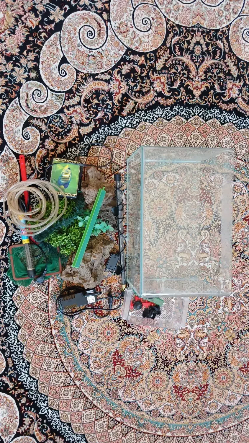 آکواریم با تمام لوازم زیرقیمت|ماهی|قم, پردیسان|دیوار