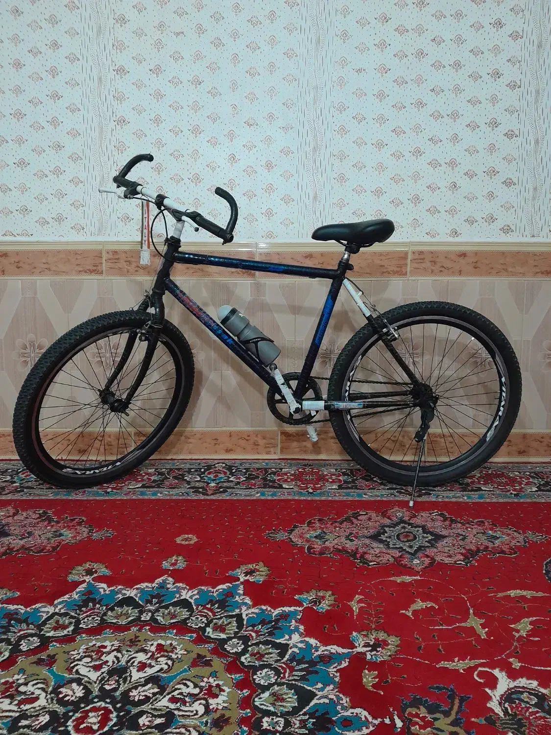 دوچرخه آساک دماوند تک سرعت|دوچرخه، اسکیت، اسکوتر|شیروان (خراسان), |دیوار