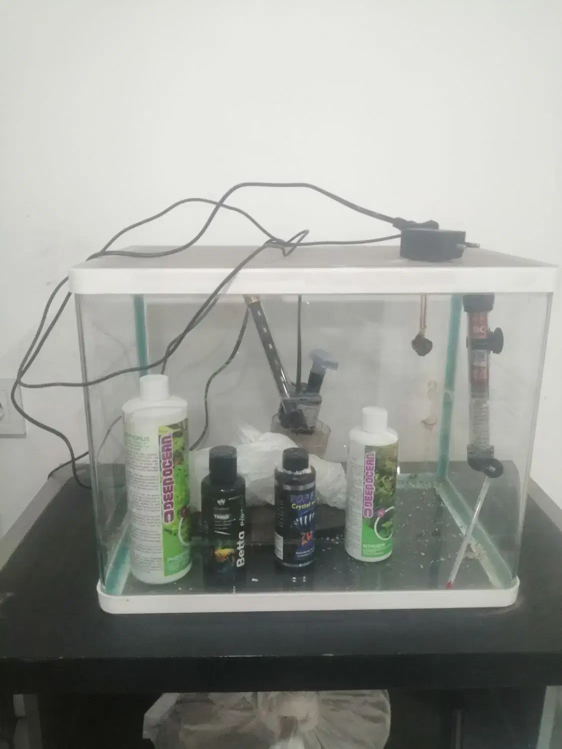 آکواریوم شرکتی با وسایل کامل|ماهی|مشهد, وکیل‌آباد|دیوار