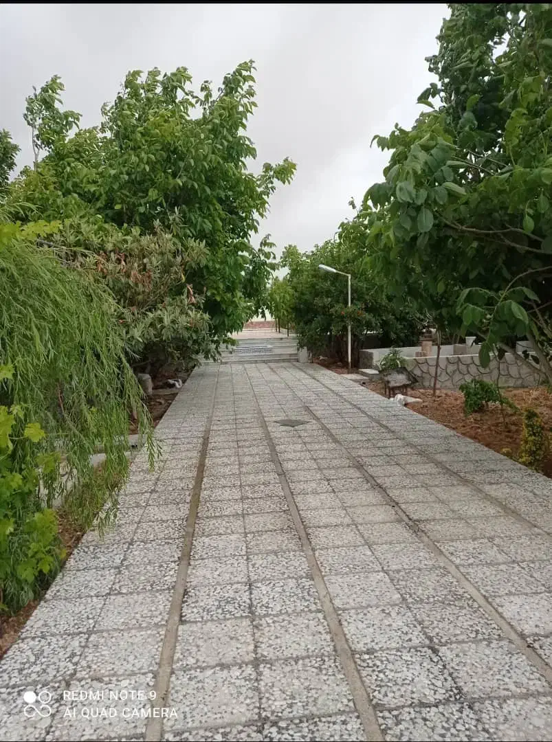 داوطلبانه تفریح|فعالیت داوطلبانه|شیراز, ستارخان|دیوار