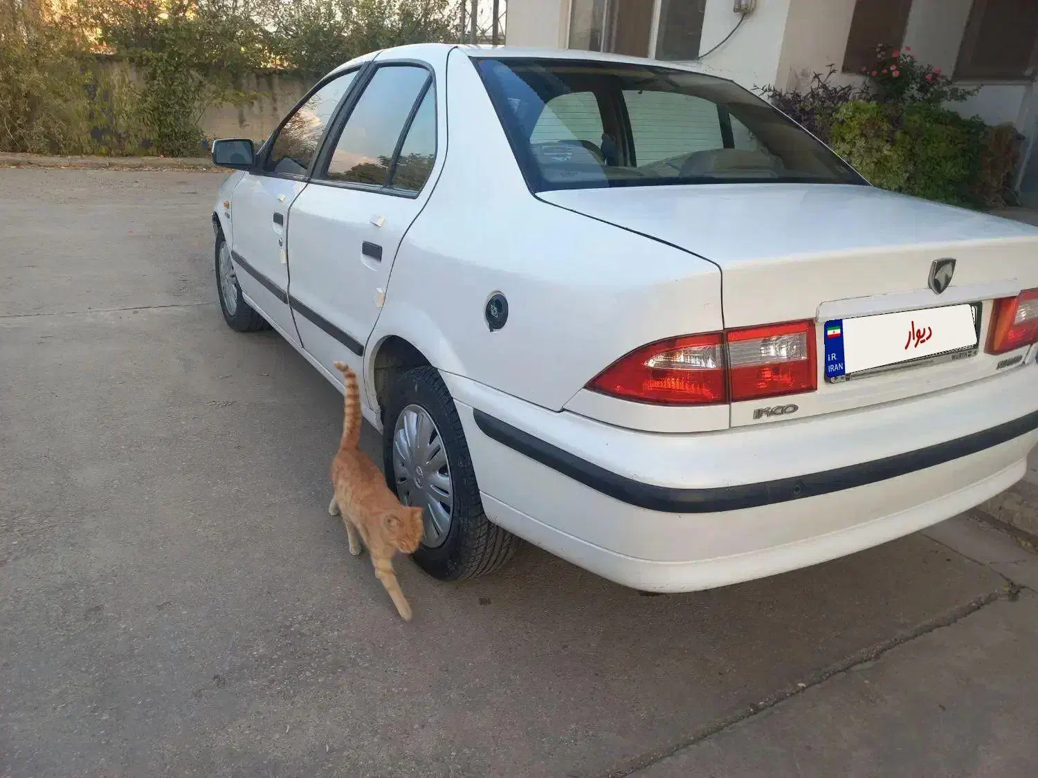 سمند دوگانه|خودرو سواری و وانت|کلاله, |دیوار