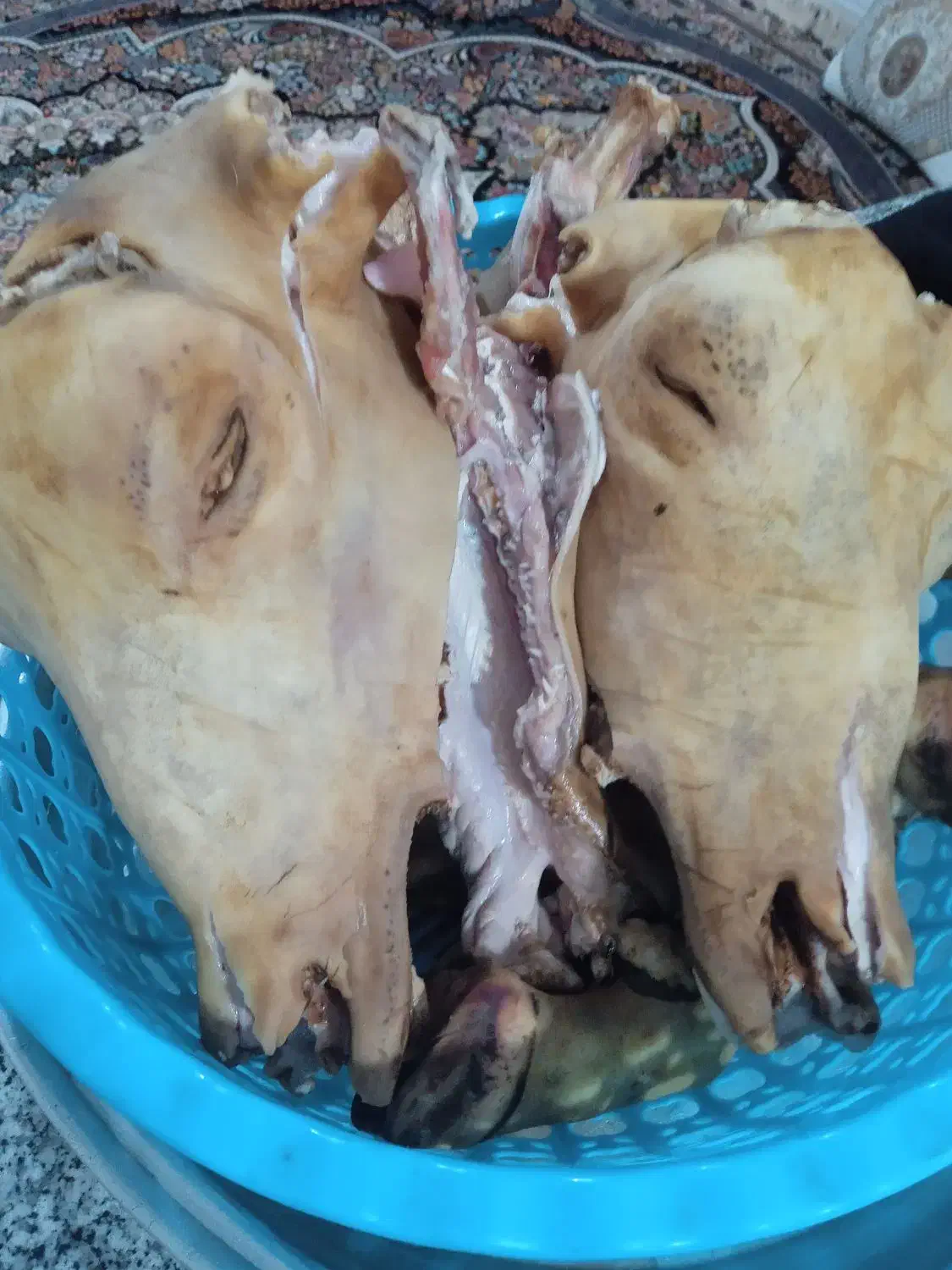 کله پاچه|خوردنی و آشامیدنی|نورآباد ممسنی, |دیوار