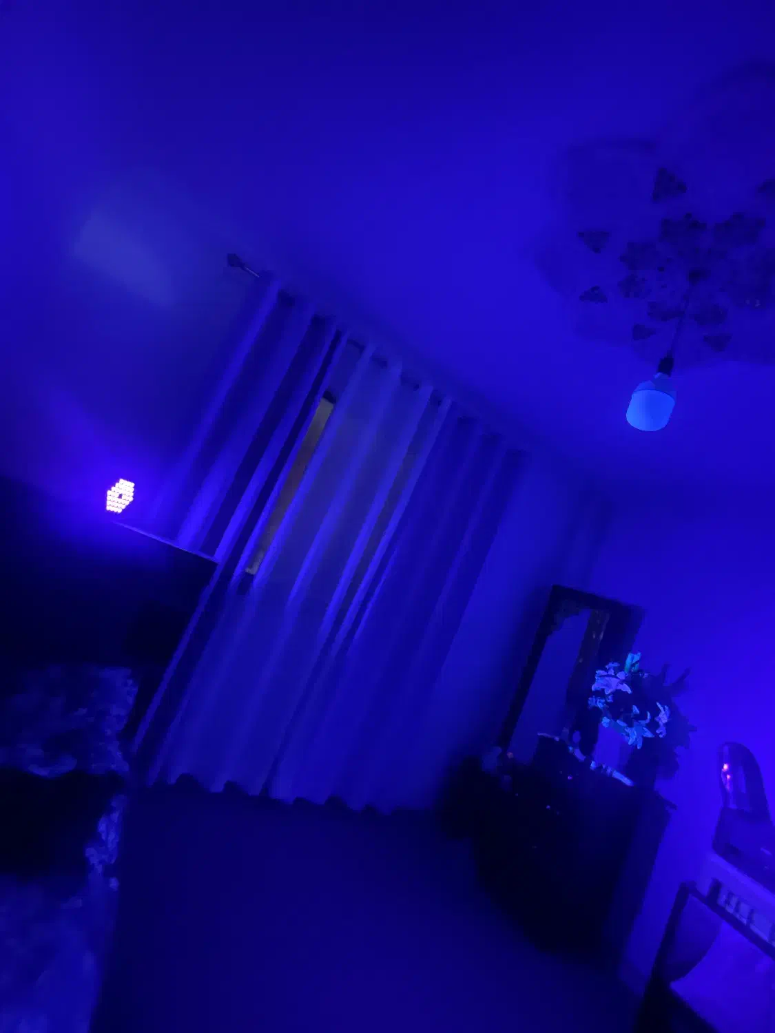 چراغ بلک لایت|ریسه و چراغ تزئینی|گرگان, |دیوار