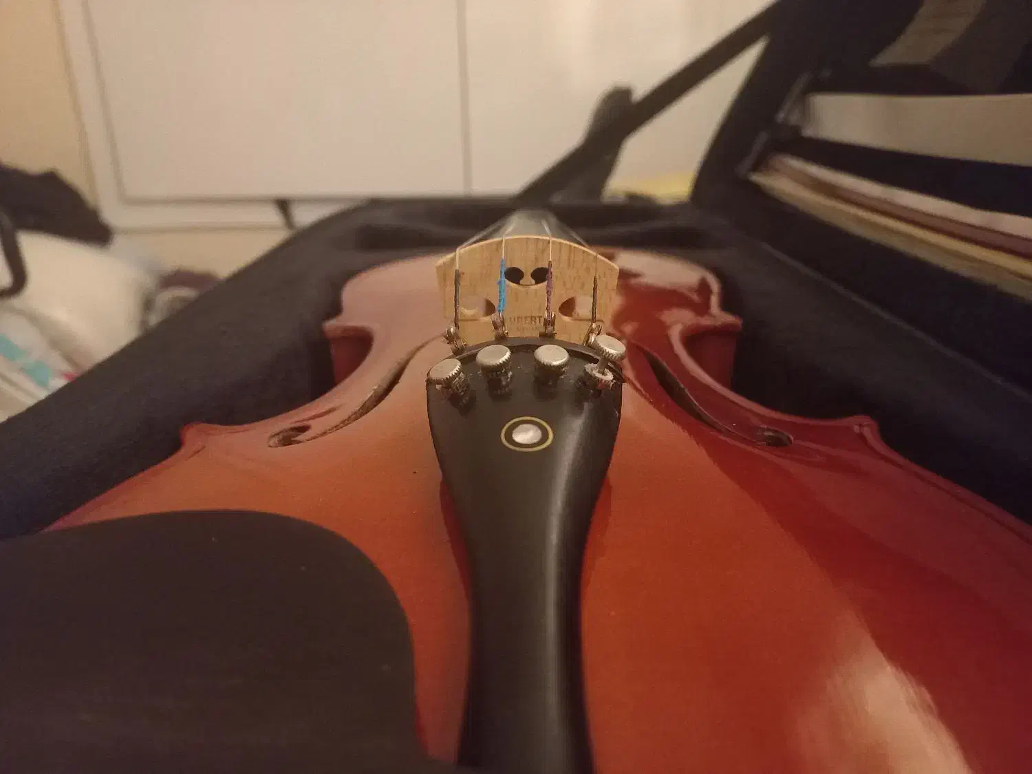 ساتیلیق ویولن|ویولن|ارومیه, |دیوار