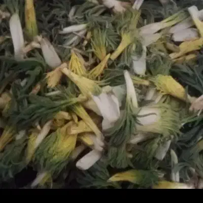 کما|خوردنی و آشامیدنی|بیرجند, |دیوار