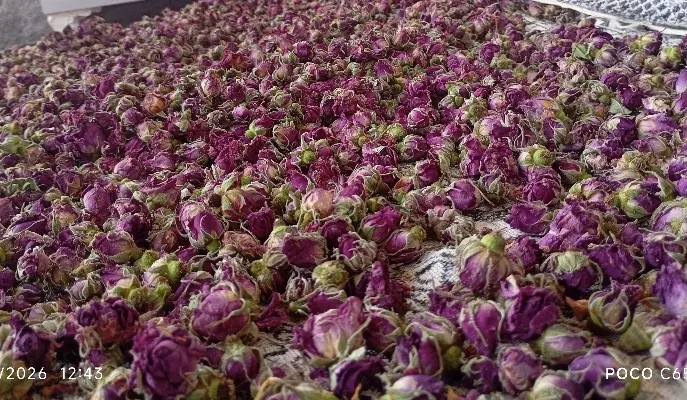 غنچه خشک|گل و گیاه طبیعی|مشگین شهر, |دیوار