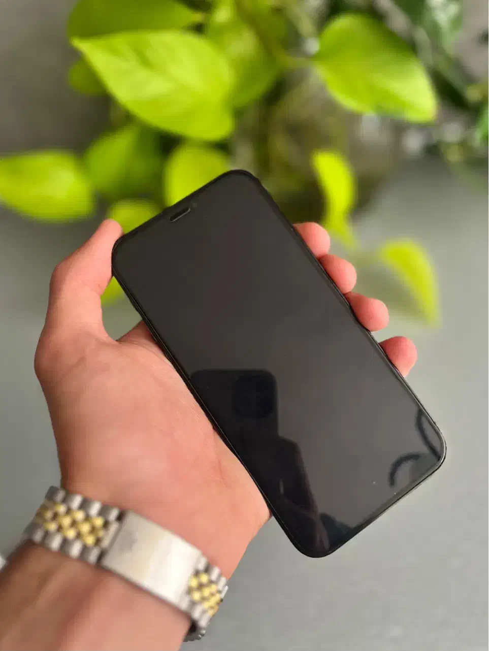 ایفون۱۲پرو|موبایل|مشهد, پنجتن|دیوار