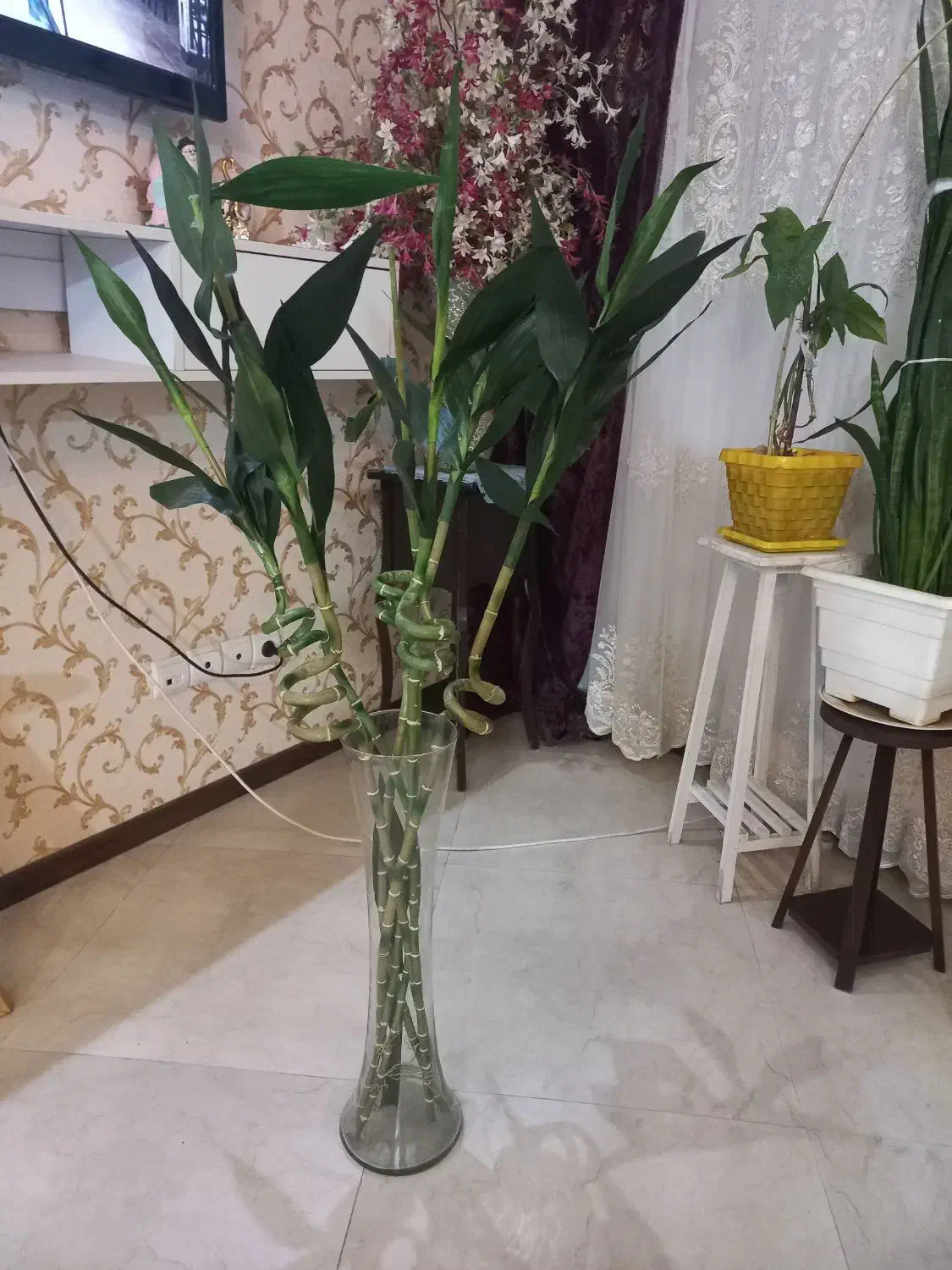 گل بامبو۵عددبا گلدان|گل مصنوعی|تهران, قاسمآباد|دیوار